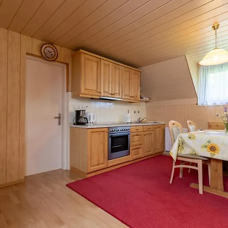 Apartma Boltar דירה בוהין